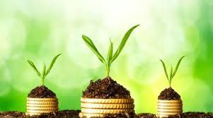 کارافرینی اسلامی